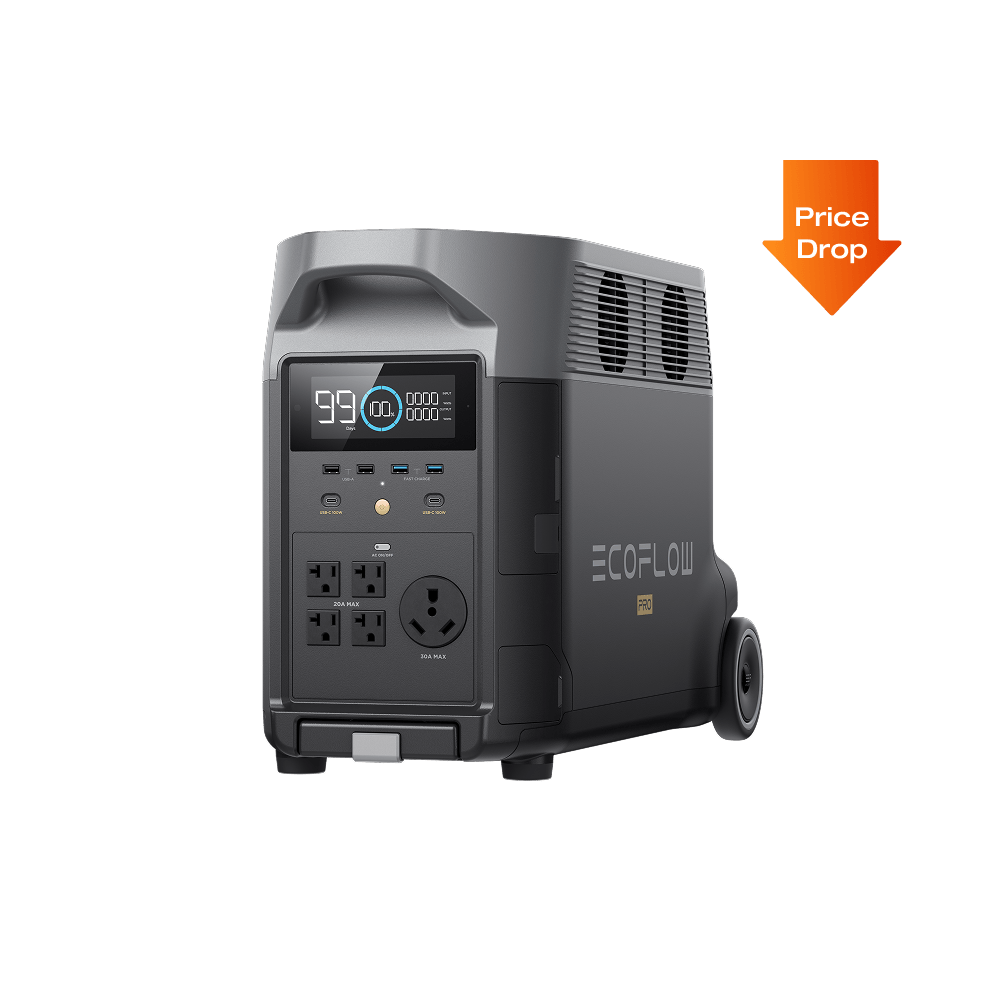 EcoFlow DELTA Pro